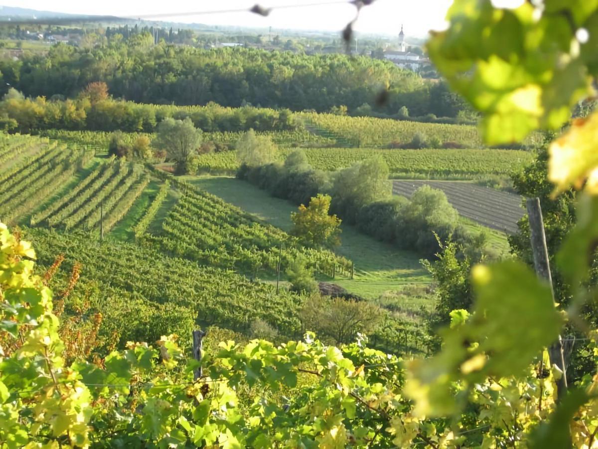 Capriva Del Friuli - Casa Roncus Villa Buitenkant foto